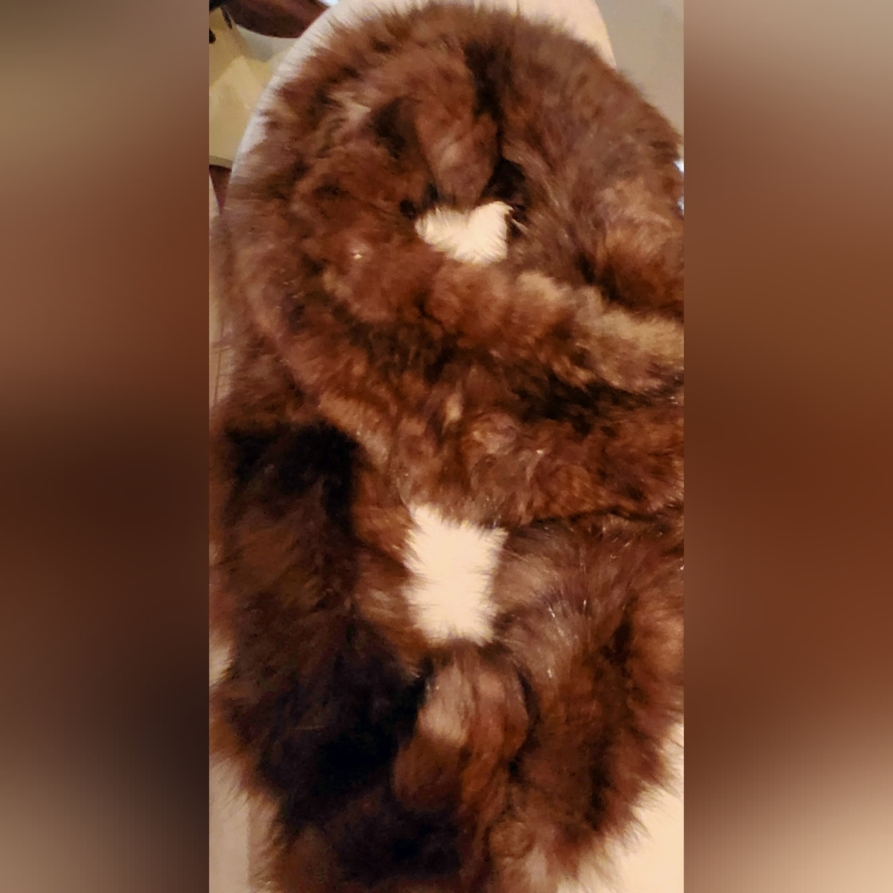 A Rare Select Royal Grade Sable